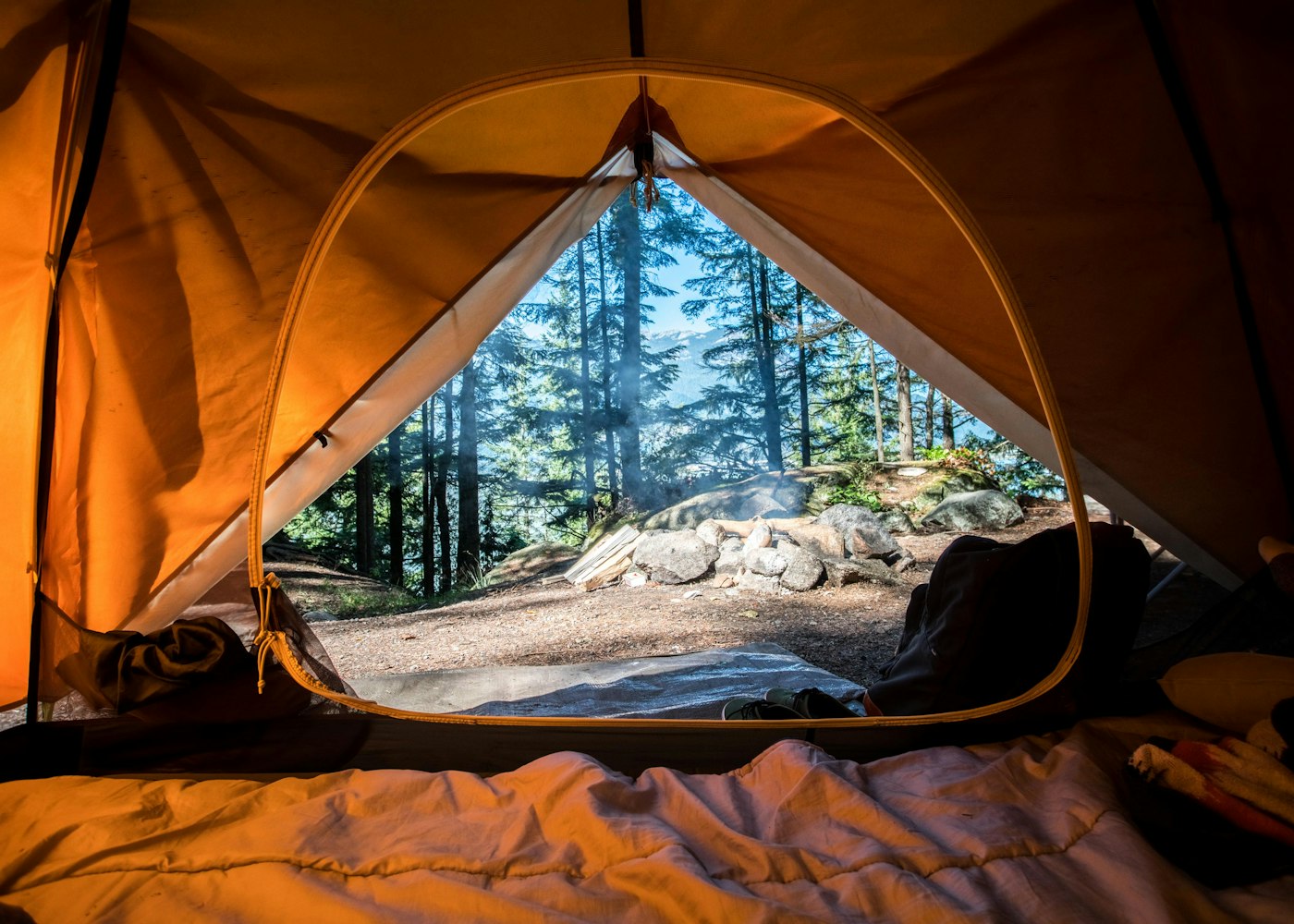 Tent lit from within in a pine forest